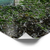 Sea Life Bird View, Glossy Poster (Ecke)