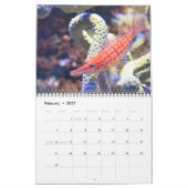 Sea Life Calendar Kalender (Feb 2027)