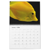 Sea Life Calendar Kalender (Jan 2026)