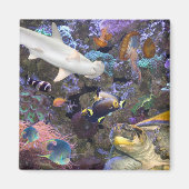 Sea Life Magnet (Vorne)