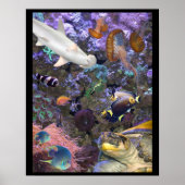Sea Life Poster (Vorne)