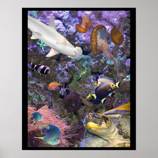 Sea Life Poster (Vorne)