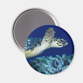 Sea Life - Sea Turtle Magnet (Vorderseite/Rückseite)
