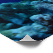 Sea Life - Sea Turtle Poster (Ecke)