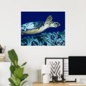 Sea Life - Sea Turtle Poster (Heimbüro)