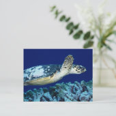 Sea Life - Sea Turtle Postkarte (Stehend Vorderseite)