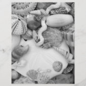 Sea Life Seashell ID Worksheet Colour Page Flyer (Hinten)