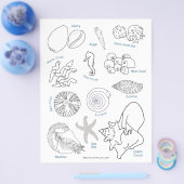 Sea Life Seashell ID Worksheet Colour Page Flyer (Einzeln)
