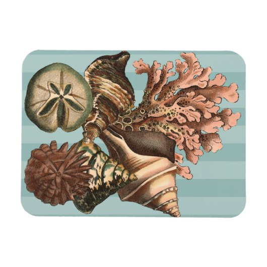 Sea Life Silhouette Magnet (Horizontal)
