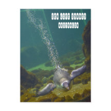 Sea Life Sydney Aquarium in Australien