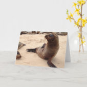 Sea Lion Blank Grußkarte Karte (Gelbe Blume)