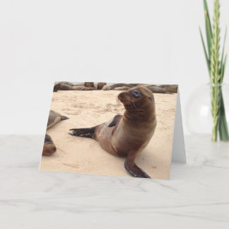 Sea Lion Blank Grußkarte Karte
