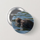 Sea Lion Button (Vorne & Hinten)