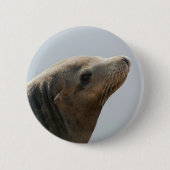 Sea Lion Button (Vorderseite)