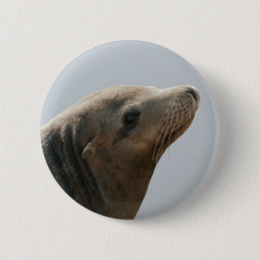 Sea Lion Button (Vorderseite)