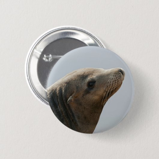 Sea Lion Button (Vorne & Hinten)