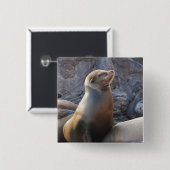 Sea Lion Button (Vorne & Hinten)