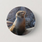 Sea Lion Button (Vorderseite)