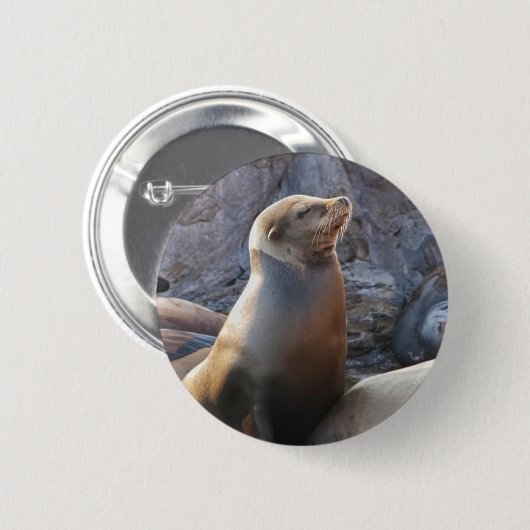 Sea Lion Button (Vorne & Hinten)