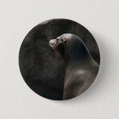 Sea Lion Button (Vorderseite)