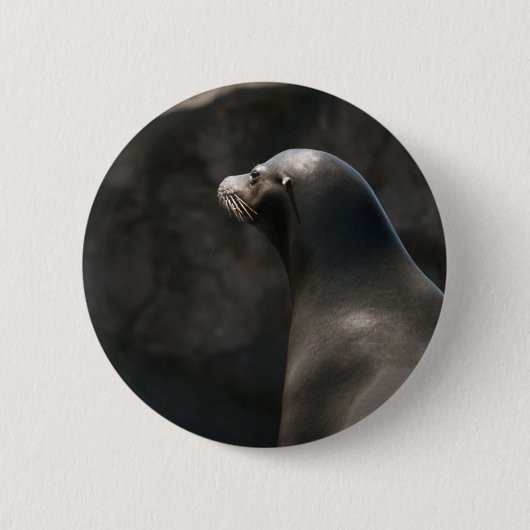 Sea Lion Button (Vorderseite)