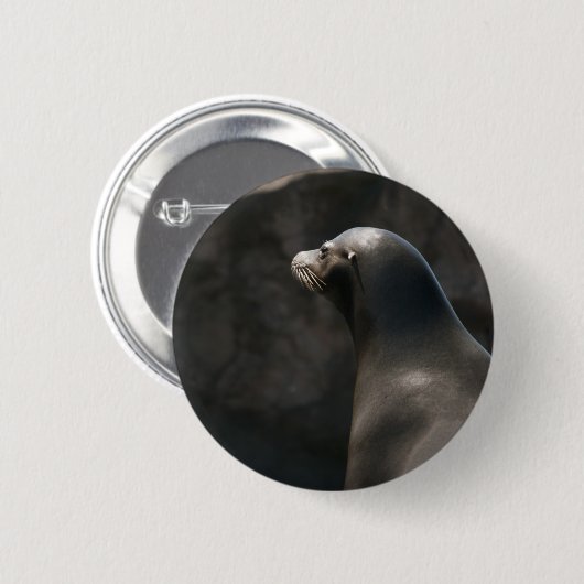 Sea Lion Button (Vorne & Hinten)