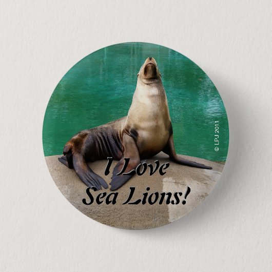 Sea Lion Button (Vorderseite)