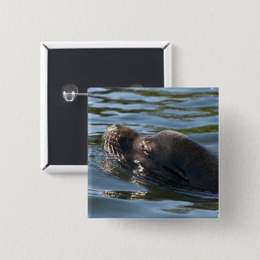 Sea Lion Button (Vorne & Hinten)