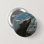 Sea Lion Buttons (Vorne & Hinten)