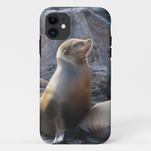 Sea Lion Case-Mate iPhone Hülle (Rückseite)