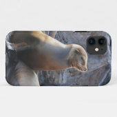 Sea Lion Case-Mate iPhone Hülle (Rückseite (Horizontal))