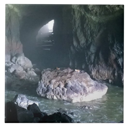 Sea Lion Cave, OR Fliese (Vorderseite)
