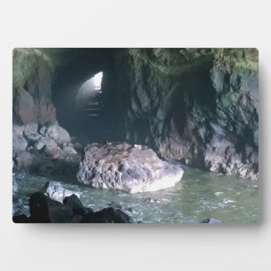 Sea Lion Cave, OR Fotoplatte