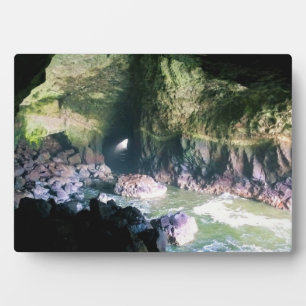 Sea Lion Cave, OR Fotoplatte