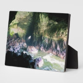Sea Lion Cave, OR Fotoplatte (Seite)