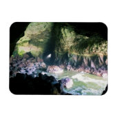 Sea Lion Cave, OR Magnet (Horizontal)