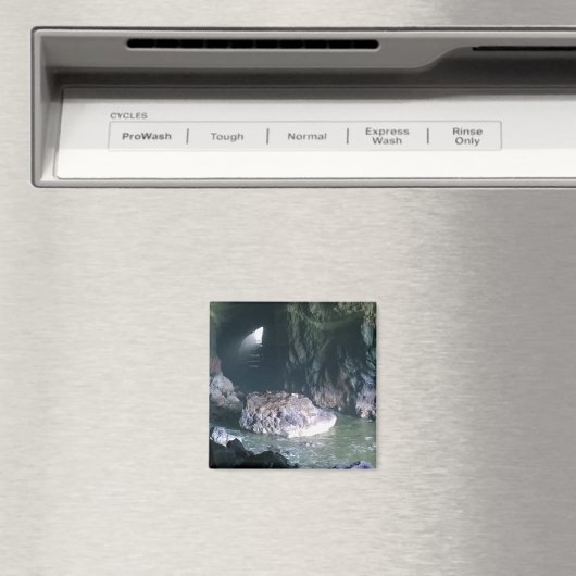 Sea Lion Cave, OR Magnet (In Situ (Geschirrspüler))