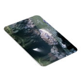 Sea Lion Cave, OR Magnet (Rechte Seite)