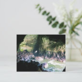 Sea Lion Cave, OR Postkarte (Stehend Vorderseite)