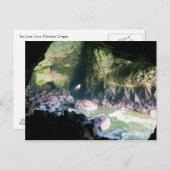 Sea Lion Cave, OR Postkarte (Vorne/Hinten)