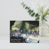 Sea Lion Cave, OR Postkarte (Stehend Vorderseite)