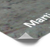 Sea Lion - Chin Up - Poster (Ecke)