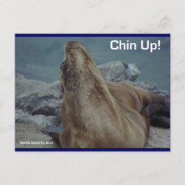 Sea Lion - Chin Up! -Postkarte Postkarte