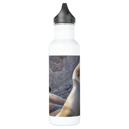 Sea Lion Edelstahlflasche (Links)