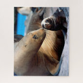 Sea Lion Family, Jigsaw Puzzle (Vertikal)