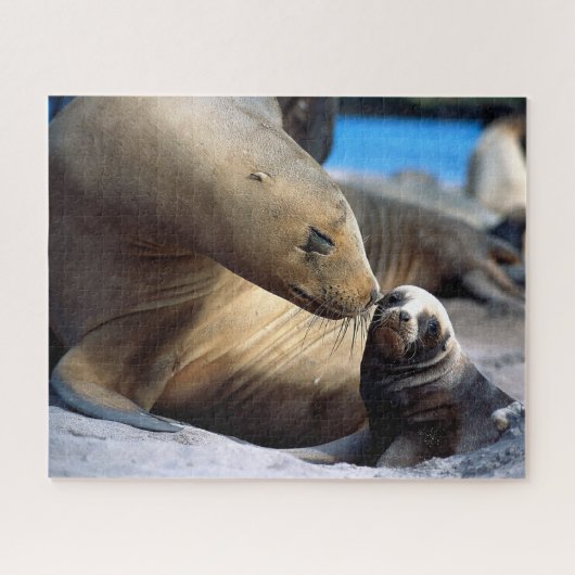 Sea Lion Family, Jigsaw Puzzle (Horizontal)