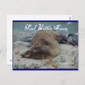 Sea Lion - Feeling Better bald - Postkarte (Vorne/Hinten)