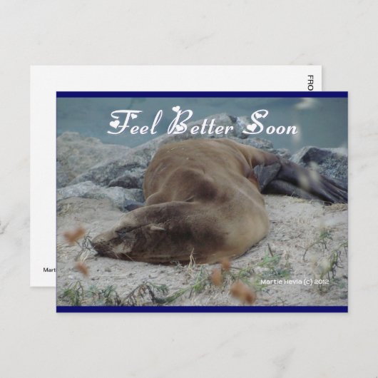 Sea Lion - Feeling Better bald - Postkarte (Vorne/Hinten)