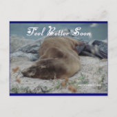 Sea Lion - Feeling Better bald - Postkarte (Vorderseite)