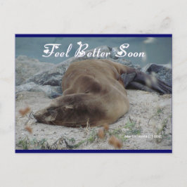 Sea Lion - Feeling Better bald - Postkarte